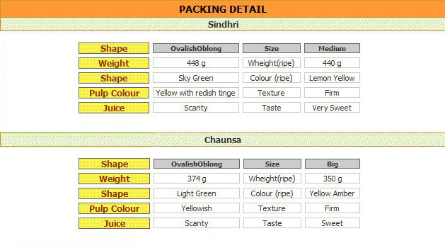 Packing-Detail-opti